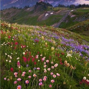 Meet your Posher, Eveline